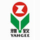 專業(yè)的解決方案 是雅致集團選擇西森的理由